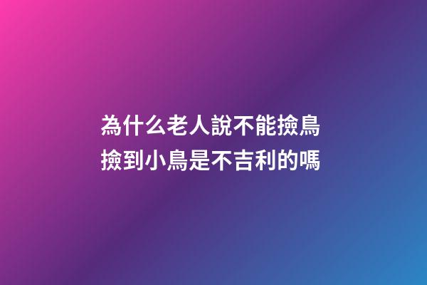 為什么老人說不能撿鳥 撿到小鳥是不吉利的嗎